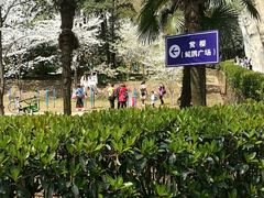 -武汉大学-樱园