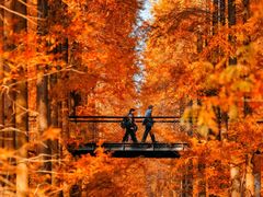 -黄海国家森林公园