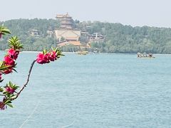 -颐和园