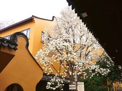 -龙华寺