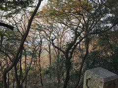 -灵岩山风景区