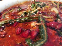 水煮肉片-茅庐毛血旺(临沂泰盛广场店)
