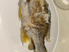 -长平老姿娘夜粥(平东一街店)