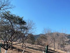 -北京西山国家森林公园