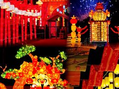 -欢乐海岸椰林沙滩-2025湾区超级灯会