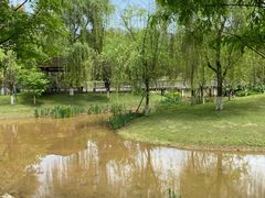 -沐仙湖湿地公园