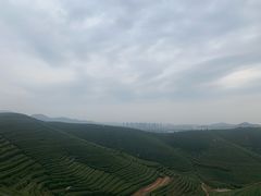-听风阁农家私房菜茶楼(龙坞店)