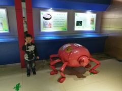 -上海昆虫博物馆