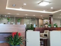 -桃仙机场头等舱休息室
