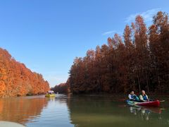 -上海海湾国家森林公园