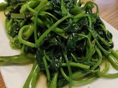 时令蔬菜-兔行天下-鸿鹤鲜锅兔(中海国际店)