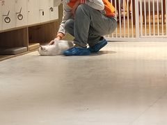 -藏猫猫咖啡主题馆(中央大道店)