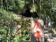 -武夷山风景名胜区-虎啸岩