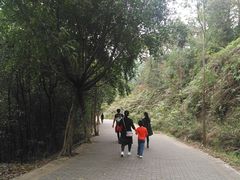 景点-滴水岩森林公园