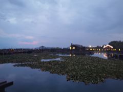 -新木器时代餐厅(太湖新天地店)