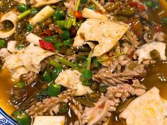 -新蜀会四川豆花(五羊店)