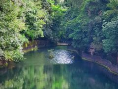 -云南屏边大围山国家公园