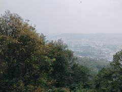 -火炉山森林公园