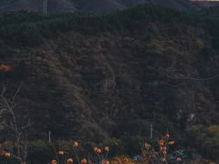 -周口店坡峰岭风景区
