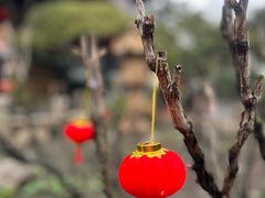 -龙华寺
