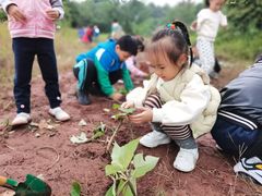 -宾果蒙特梭利托育儿童之家幼儿园(爱琴海店)