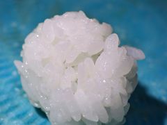 -镹·鱼料理  国产鱼使用店