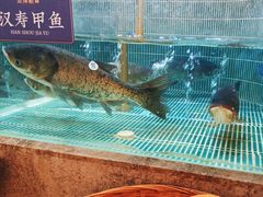 -鱼你相聚·河鲜馆(袁家岭店)