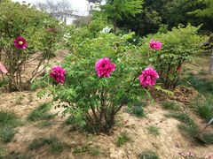 -江南大学(蠡湖校区)