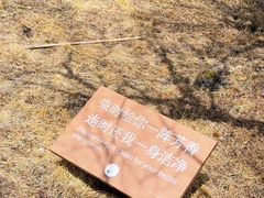 -普达措国家公园