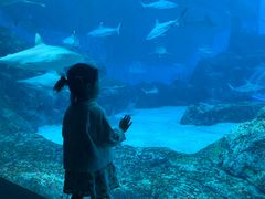 -新加坡海洋生态馆