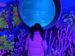 -常州海昌海洋探索馆