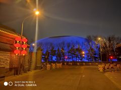 -大碗居·烤鸭·鱼头泡饼(天坛东门店)