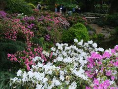 -杭州植物园