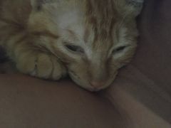 -汉堡王(正弘城店)