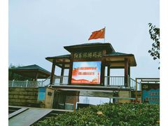 -轮渡红巷旅游码头