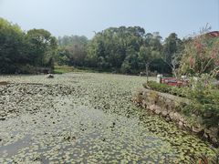 -大雁山风景区