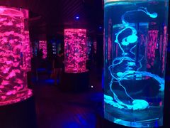-南昌海洋公园