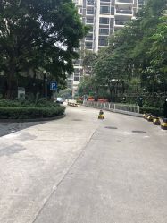 -广州萨谛艾扬格瑜伽中心