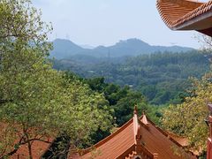-深圳仙湖植物园