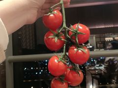 -嘉定凯悦·咖啡厅