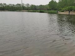 -永定河休闲森林公园