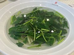 青菜肉丝汤-怡园饭店-餐厅(四望亭店)