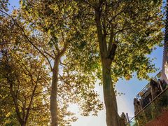 -西安电影制片厂