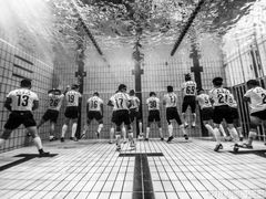 -重庆市奥林匹克体育中心-游泳跳水馆