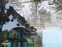-秦皇岛野生动物园