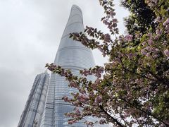 -三利音·浦之舟(滨江大道店)