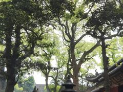 -普陀山慧济禅寺