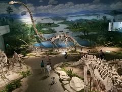 -自贡恐龙博物馆