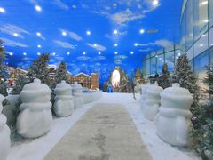 -世界之窗阿尔卑斯冰雪世界