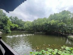 -绮园景区